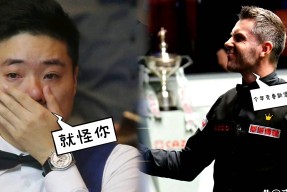 斯诺克夜战：皖江银狐队淘汰对手塞北猎隼队，临门一脚致胜细节处理更胜一筹的简单介绍-AYX爱游戏中国