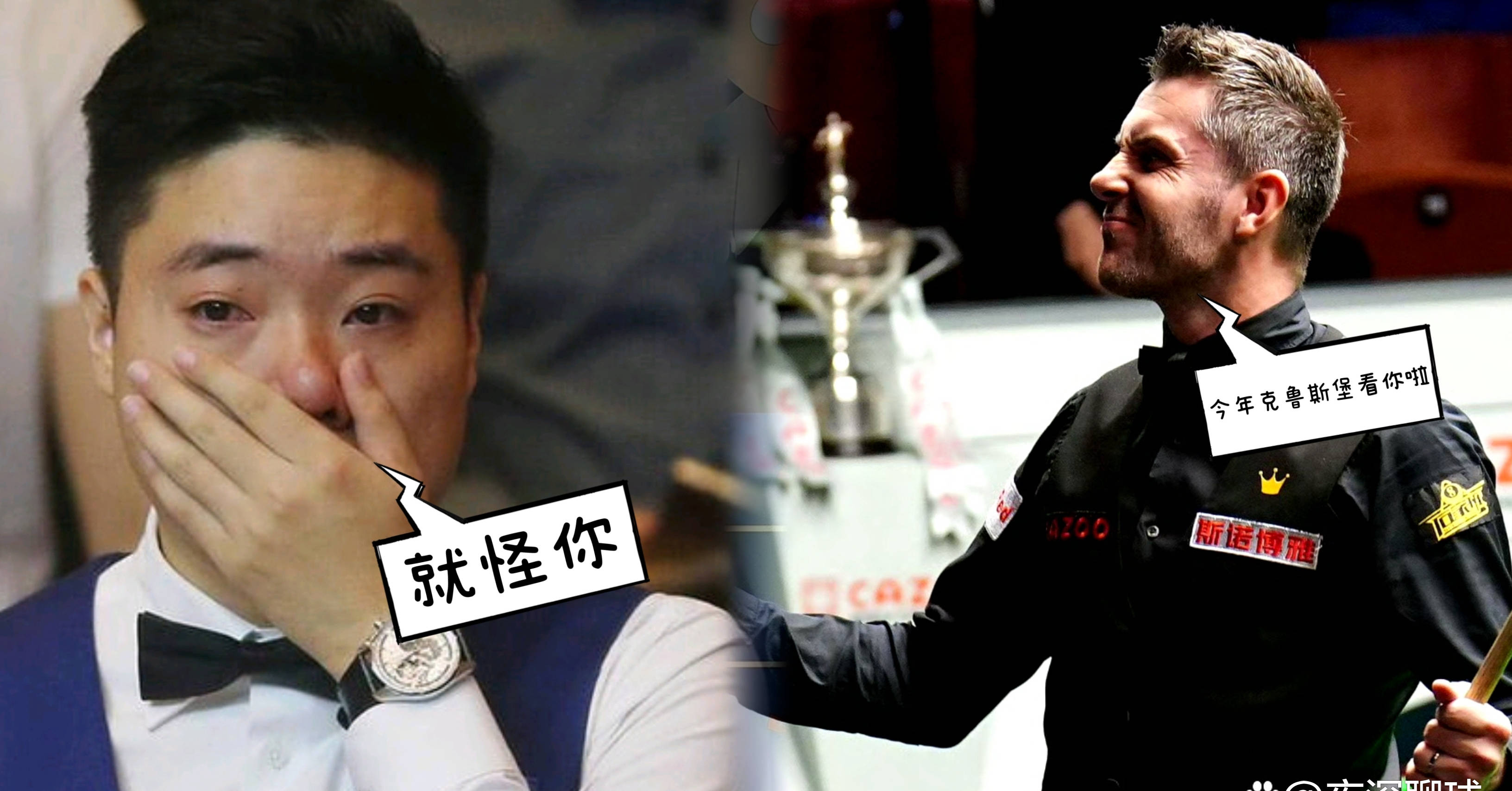 斯诺克夜战：皖江银狐队淘汰对手塞北猎隼队，临门一脚致胜细节处理更胜一筹的简单介绍